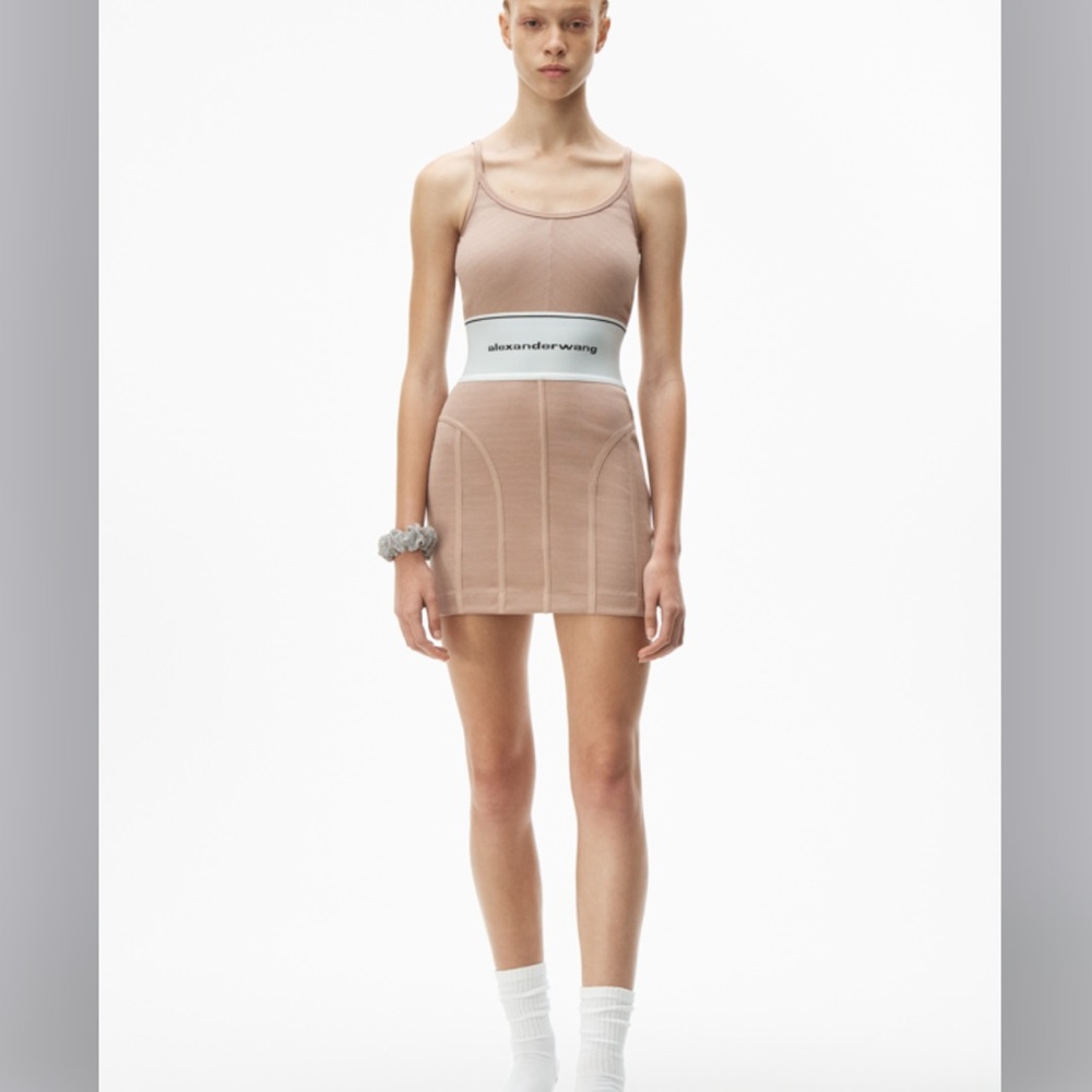 Alexander wang dress